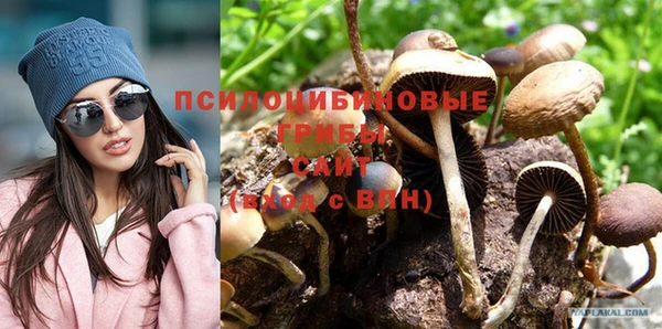 гидропоника Гусев