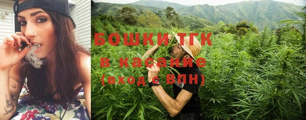 гидропоника Гусев