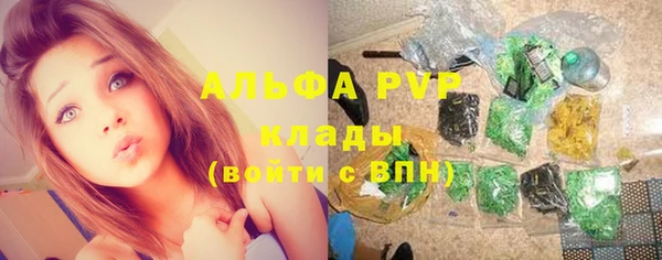 крисы Гусиноозёрск