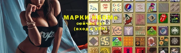 крисы Гусиноозёрск