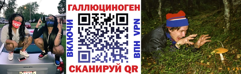 Галлюциногенные грибы GOLDEN TEACHER  Купить  Лагань 